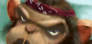 Chimpboxer